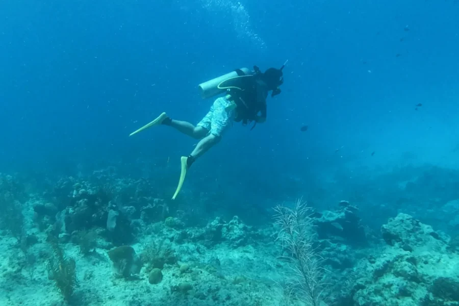 Snorkeling in barca a Ras Mohamed e Isola Bianca