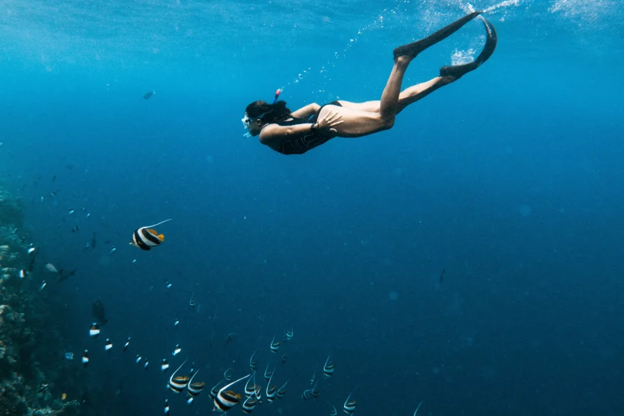 Escursione di snorkeling all’Isola di Tiran