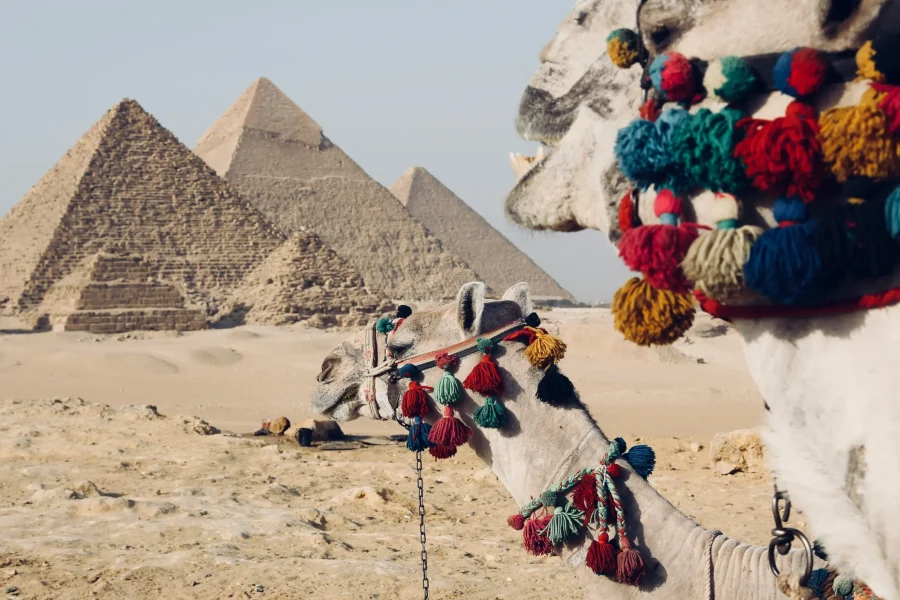 Viaggio al Cairo in Aereo – In un solo giorno, vivi la storia d’Egitto!